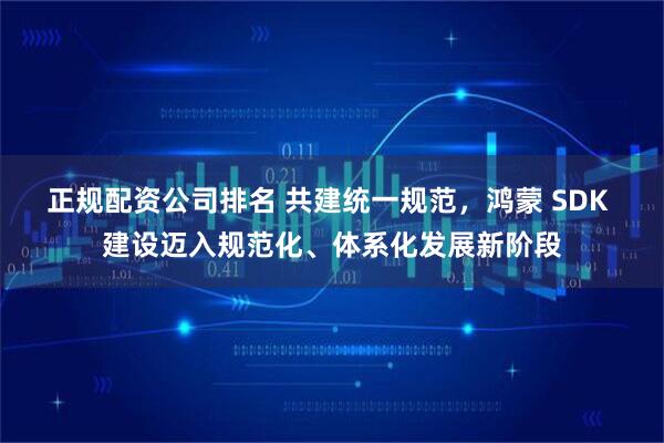 正规配资公司排名 共建统一规范，鸿蒙 SDK 建设迈入规范化、体系化发展新阶段