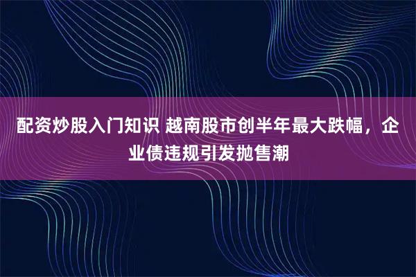 配资炒股入门知识 越南股市创半年最大跌幅，企业债违规引发抛售潮