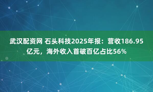 武汉配资网 石头科技2025年报：营收186.95亿元，海外收入首破百亿占比56%