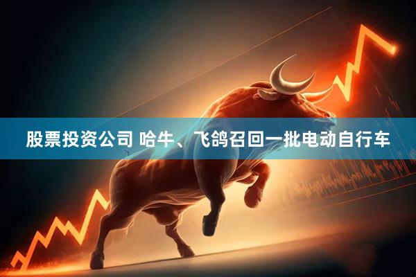 股票投资公司 哈牛、飞鸽召回一批电动自行车