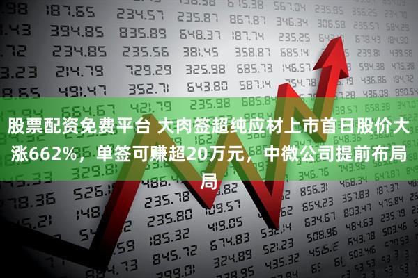 股票配资免费平台 大肉签超纯应材上市首日股价大涨662%，单签可赚超20万元，中微公司提前布局