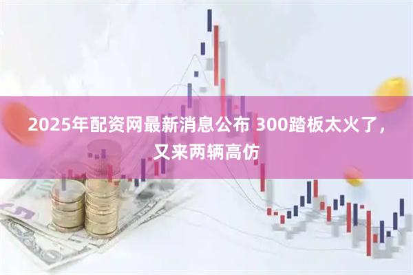 2025年配资网最新消息公布 300踏板太火了，又来两辆高仿